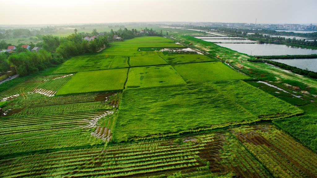 Thinh Vuong Homestay Hội An Ngoại thất bức ảnh